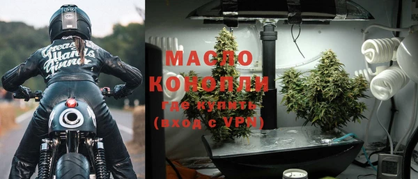 мдпв Краснослободск