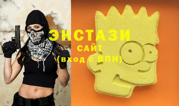 мдпв Краснослободск